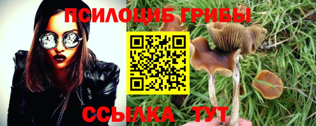 Псилоцибиновые грибы мицелий Ялта
