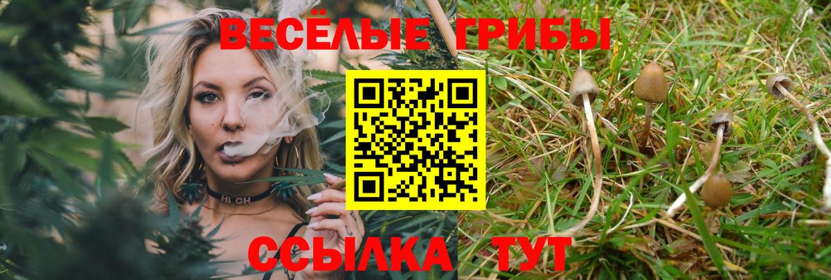 Псилоцибиновые грибы ЛСД  купить наркотик  Ялта  Вход с VPN 